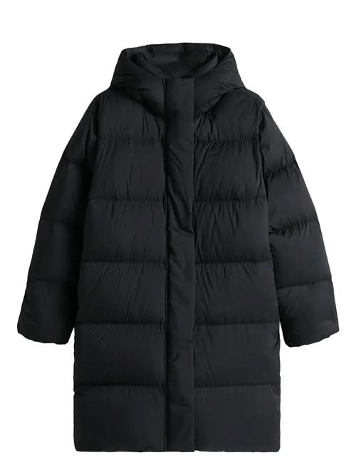 Modern Down Reg Coat Tommy Hilfiger Black