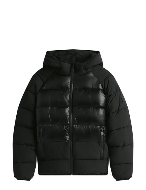 Tjm Hooded Gloss Matt Puffer Ext Tommy Jeans Black