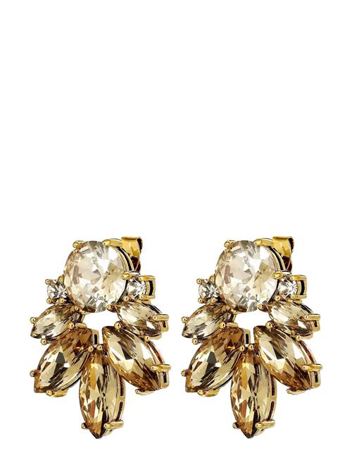 Drago Sg Golden Dyrberg/Kern Gold