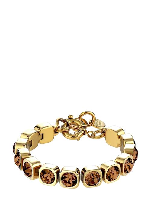 Conian Sg Brown Dyrberg/Kern Gold