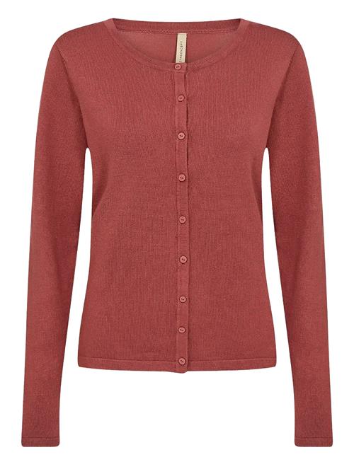 Sc-Dollie Soyaconcept Coral