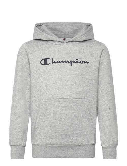 Hooded Sweatshirt Champion Grey
