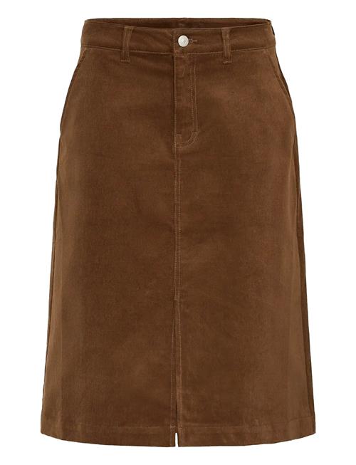 Frtean Sk 3 Fransa Brown