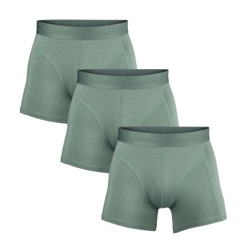 Salming 3P Bamboo Boxer Grøn XX-Large Herre