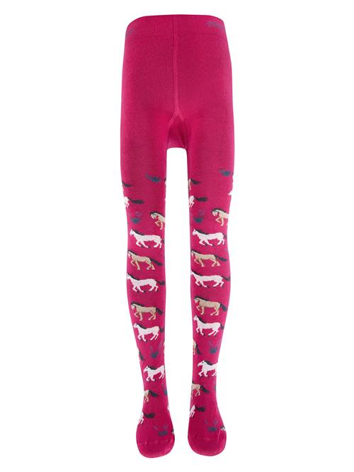 EWERS Strømpebukser  petroleum / hindbær / sort / hvid