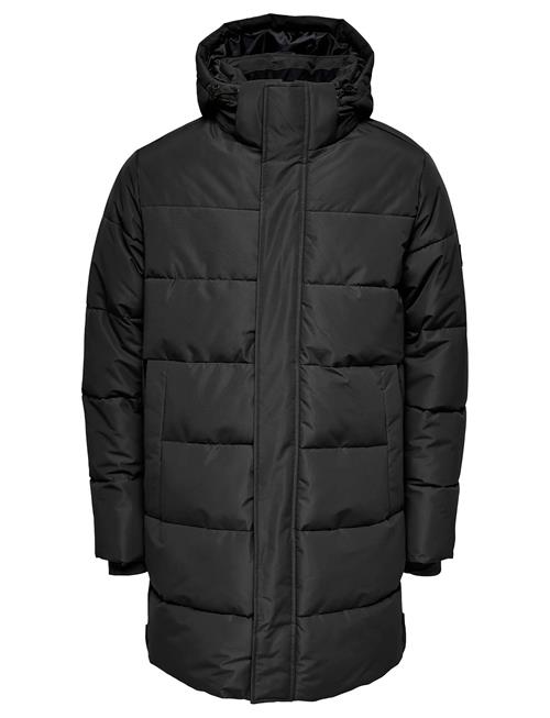 Onscarl Life Long Quilted Coat Otw Noos ONLY & SONS Black