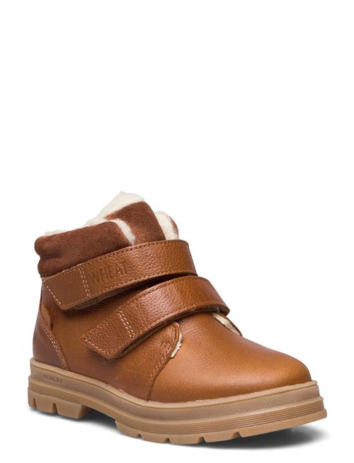 Winterboot Dry Tex Wheat Brown
