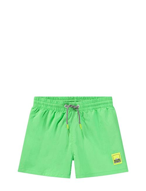 Niko Solid Molo Green