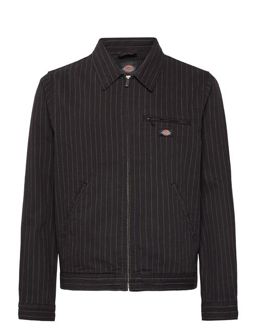 Service Painter Jacket Dickies Black