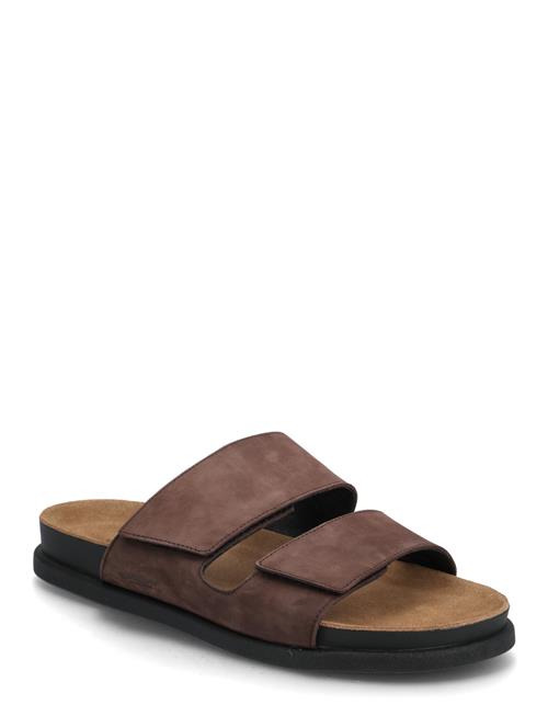 Kevin VAGABOND Brown