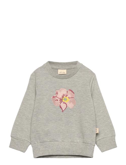 Ppdov Sweat Shirt Petit Piao Grey