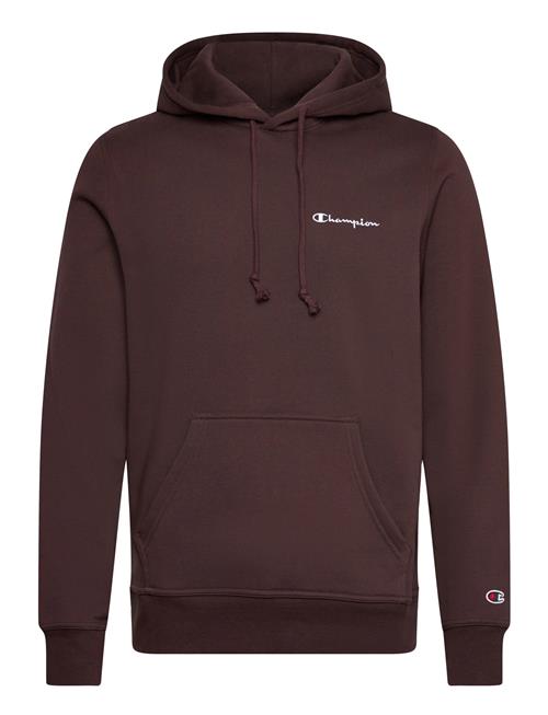 Hooded Sweatshirt Champion Brown