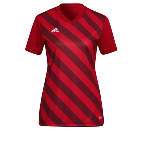 ADIDAS SPORTSWEAR Fodboldtrøje 'Entrada 22'  rød / bordeaux / hvid