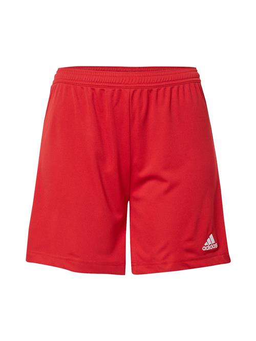 ADIDAS PERFORMANCE Sportsbukser 'Entrada 22'  rød / hvid