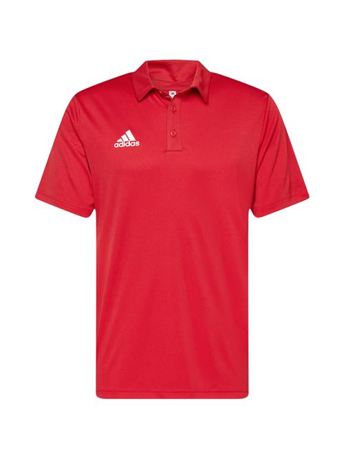 ADIDAS PERFORMANCE Funktionsskjorte 'Entrada 22'  rød / hvid