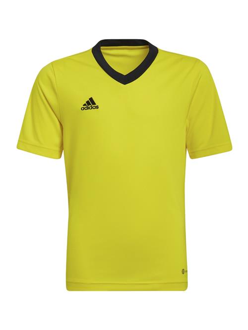 ADIDAS PERFORMANCE Funktionsskjorte 'Entrada 22'  gul / sort