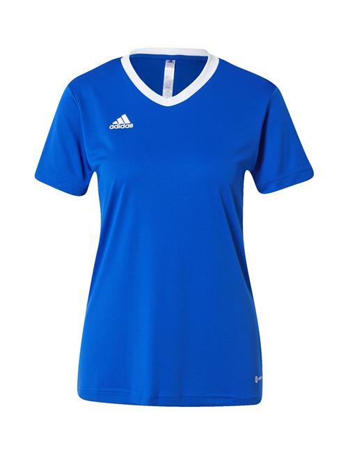 Se ADIDAS PERFORMANCE Fodboldtrøje 'Entrada 22'  blå / hvid ved About You