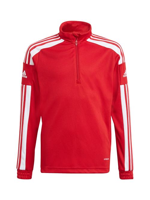 ADIDAS PERFORMANCE Sportsweatshirt 'Squad 21'  rød / hvid