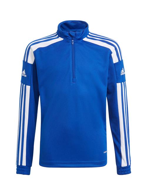ADIDAS PERFORMANCE Sportsweatshirt 'Squadra 21'  royalblå / hvid