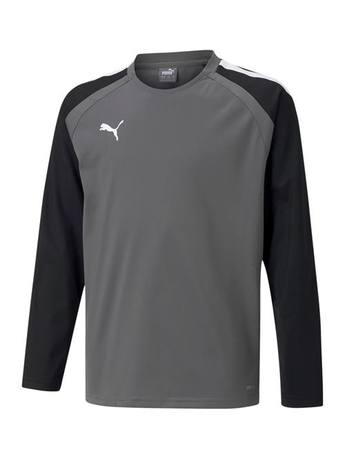 PUMA Funktionsskjorte 'TeamLiga'  grå / sort / hvid