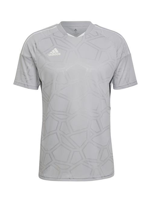 ADIDAS SPORTSWEAR Fodboldtrøje 'Condivo 22'  grå / antracit / hvid