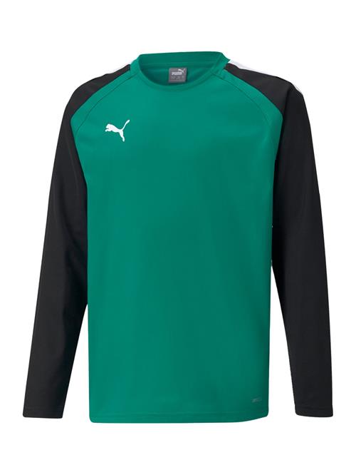 PUMA Funktionsskjorte 'TeamLiga'  smaragd / sort / hvid