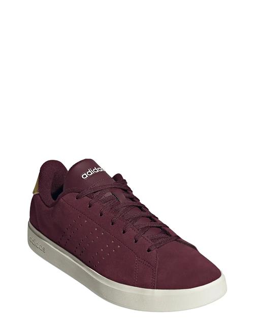 Advantage 2.0 Adidas Sportswear Burgundy