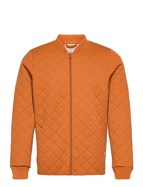 Thermo Jacket Loui Adult Wheat Orange