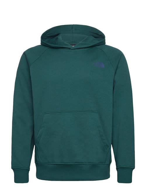 M Raglan Box Nse Regular Hoodie The North Face Green