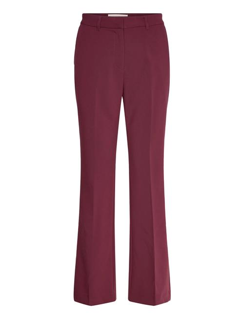 Slim Flare Slack GANT Burgundy