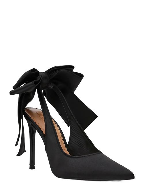 Teacup Steve Madden Black