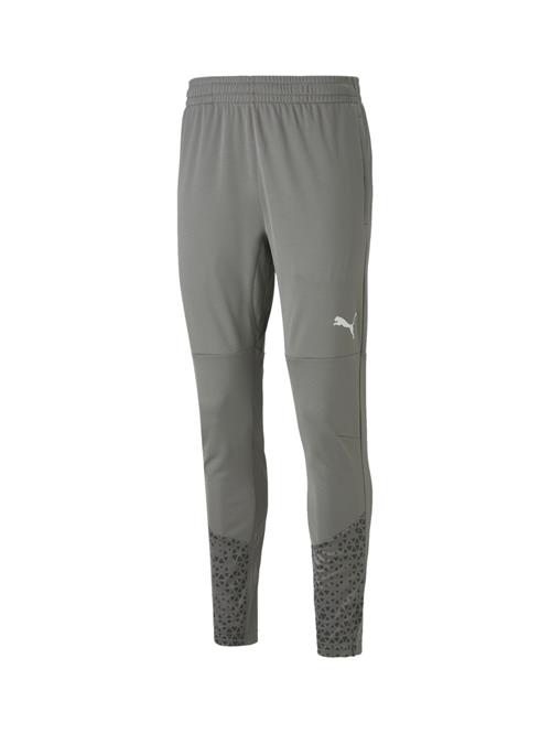 PUMA Sportsbukser 'TeamCup'  grå / mørkegrå