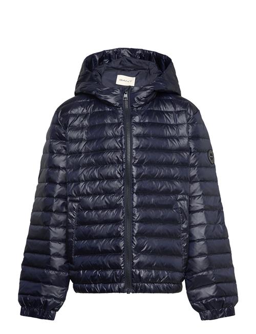 Shiny Light Padded Down Jacket GANT Navy