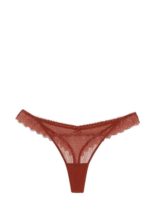 Allusion - Tanga Etam Brown