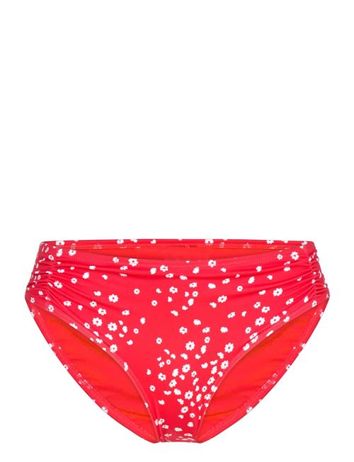 Pt Beach Classics Hipster Roxy Red