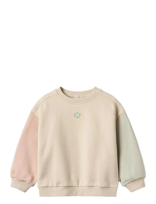 Sweatshirt L/S Embroidery Elliot Wheat Cream