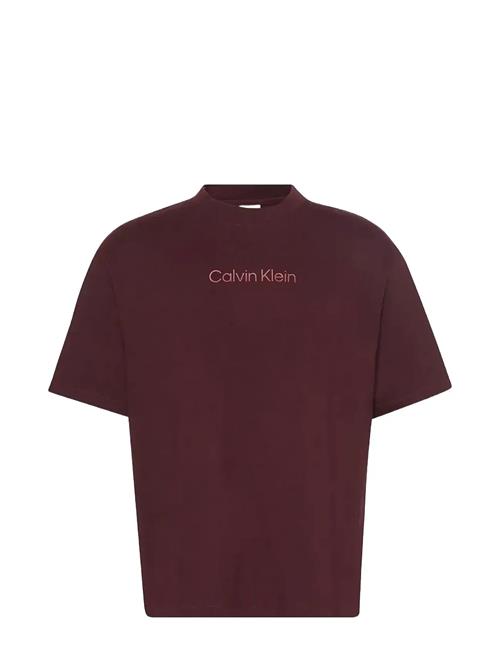 Ss Standard Logo 30S Crewnk Tee Calvin Klein Brown