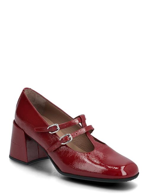 Aura 02 Wonders Burgundy