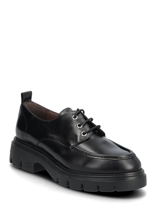 B S 02 Wonders Black