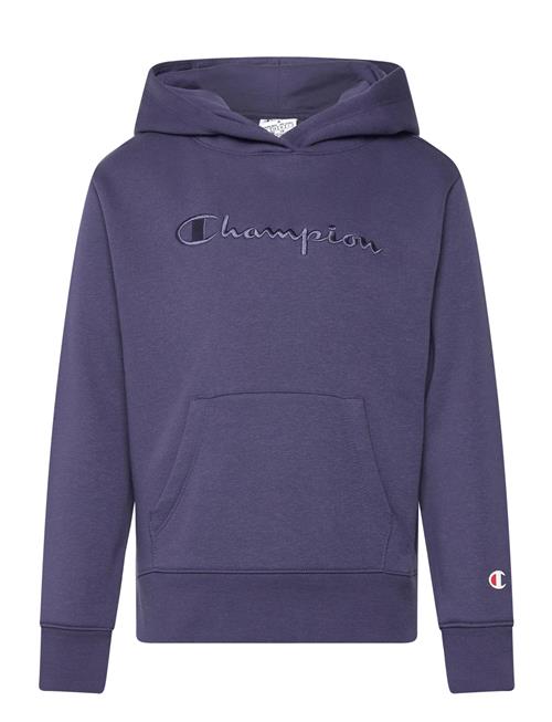 Hooded Sweatshirt Champion Blue