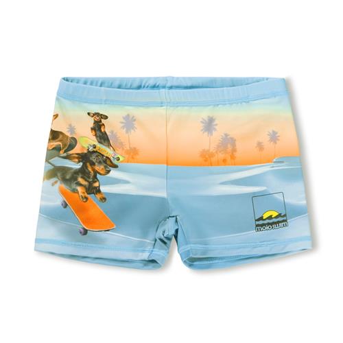 Molo Norton Placed Badebukser Skate Fun  Skate Fun 92/98 cm  Blå  92/98 cm  mand