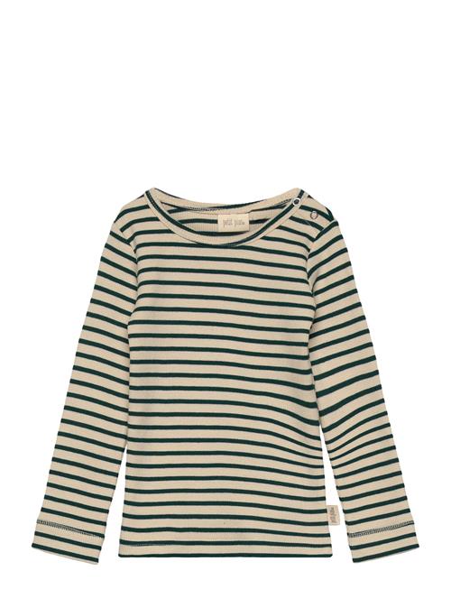 T-Shirt L/S Modal Striped Petit Piao Green