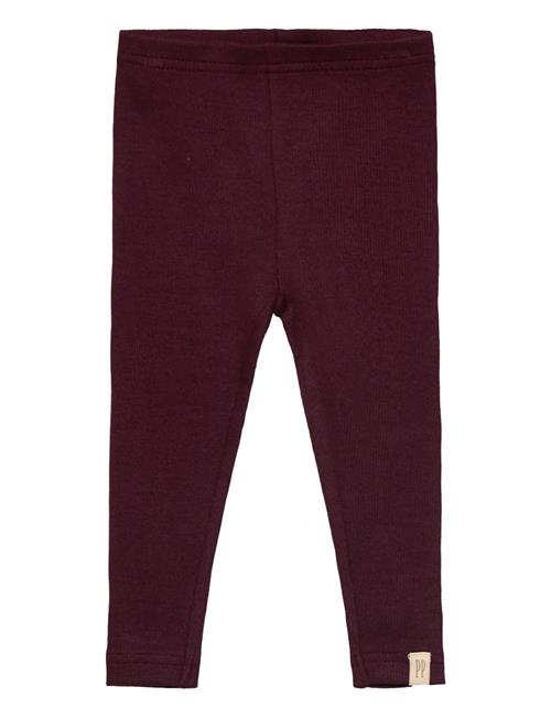 Legging Modal Petit Piao Burgundy