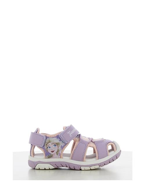 Frozen Sandal Leomil Purple