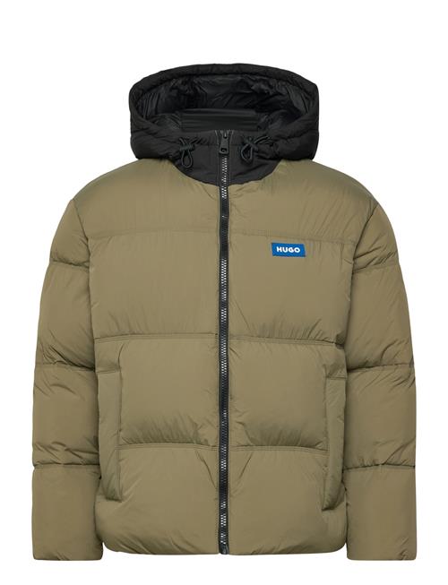 Bodo2541 HUGO BLUE Khaki