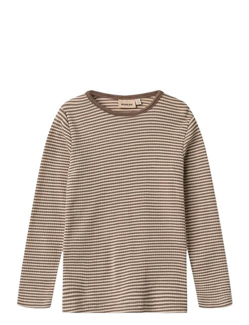Wool T-Shirt L/S Alfie Wheat Beige