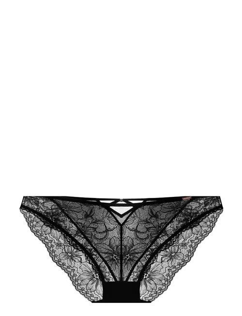 Jemma Brief Dorina Black