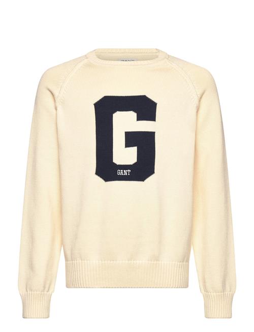 Graphic Raglan C-Neck GANT Cream