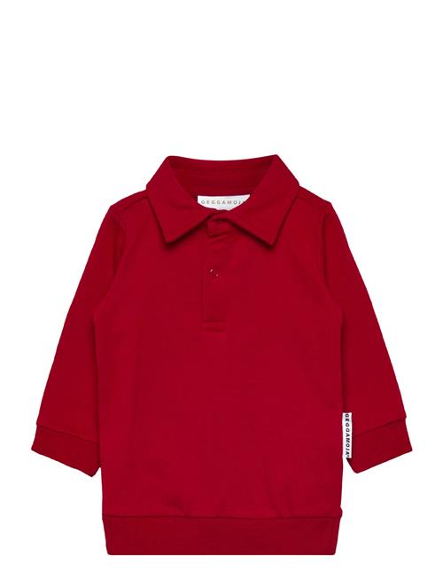 Collar Sweater Navy Geggamoja Red