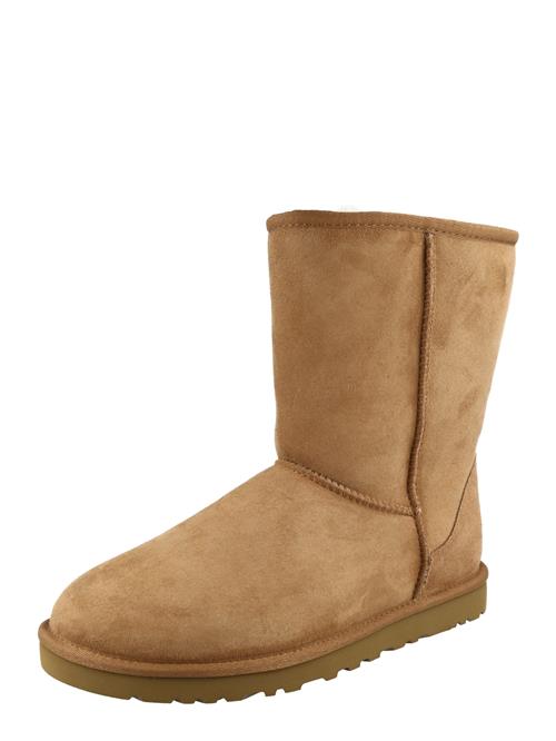 UGG Boots  cognac